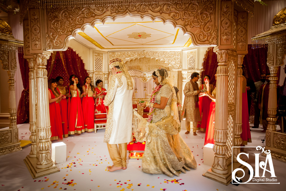 Aarti & Neil's Larger Than Life Columbus Wedding | SIA Photography