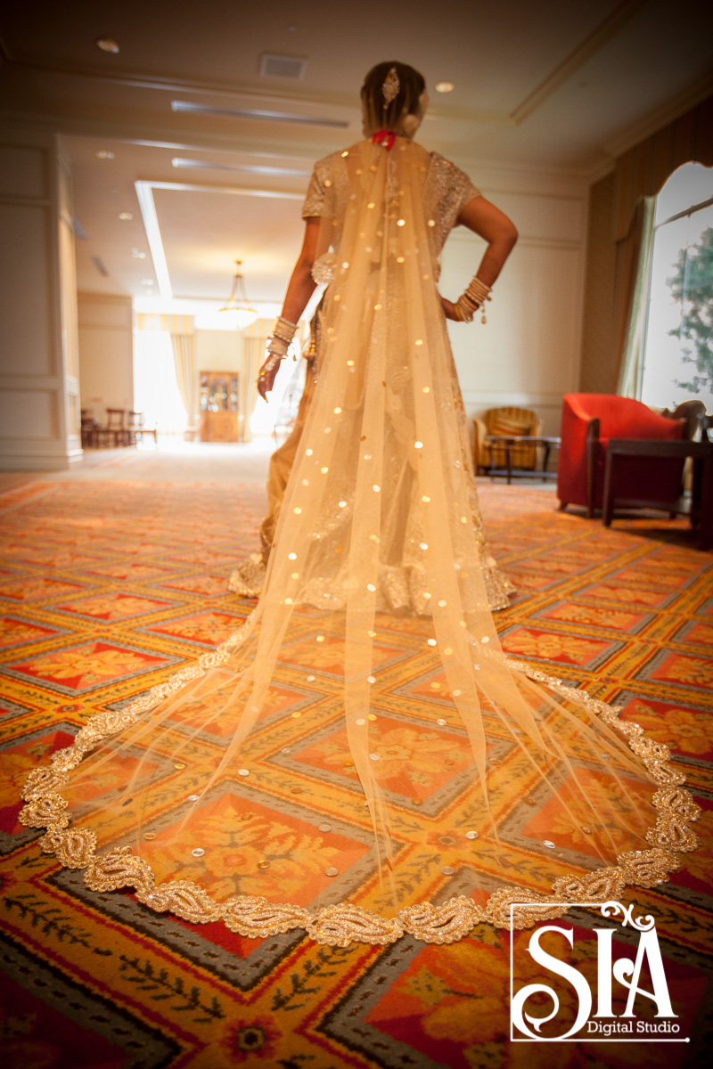 Aarti & Neil's Larger Than Life Columbus Wedding | SIA Photography