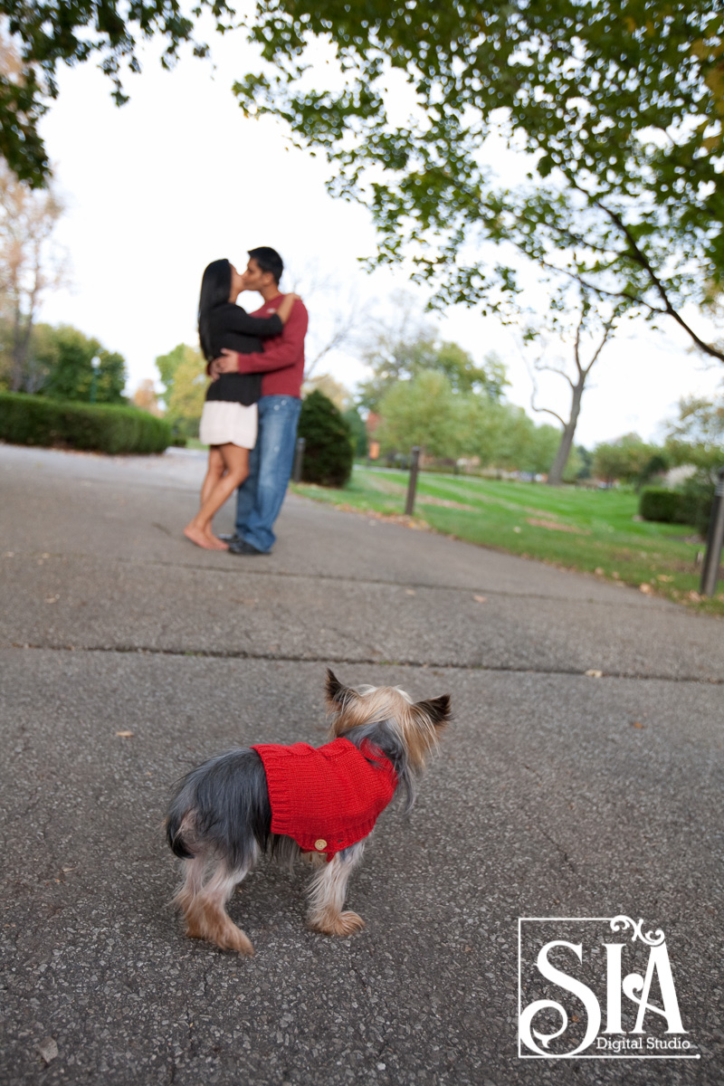 Summer Pre-wedding Photo shoot with Mitul & Poonam!