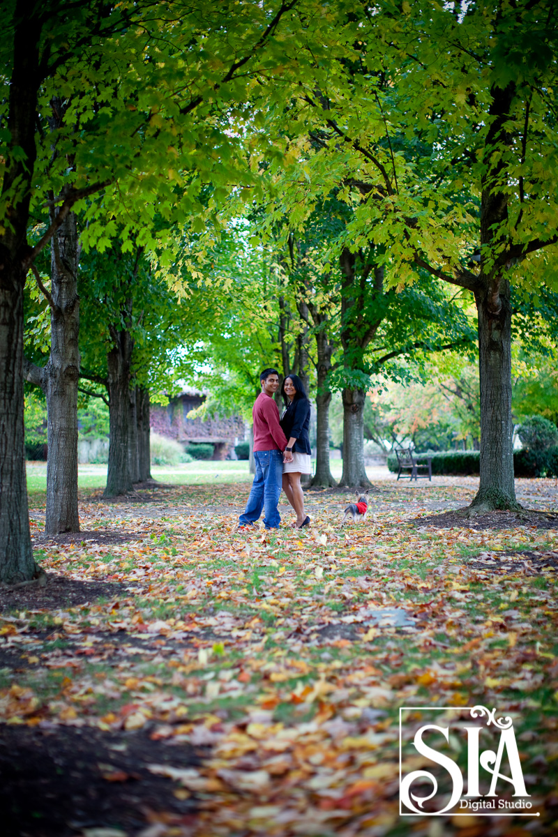 Summer Pre-wedding Photo shoot with Mitul & Poonam!