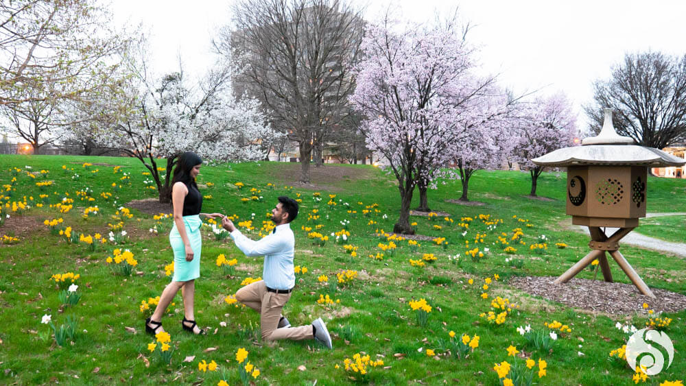 Chintan & Dixita Pre Wedding Shoot